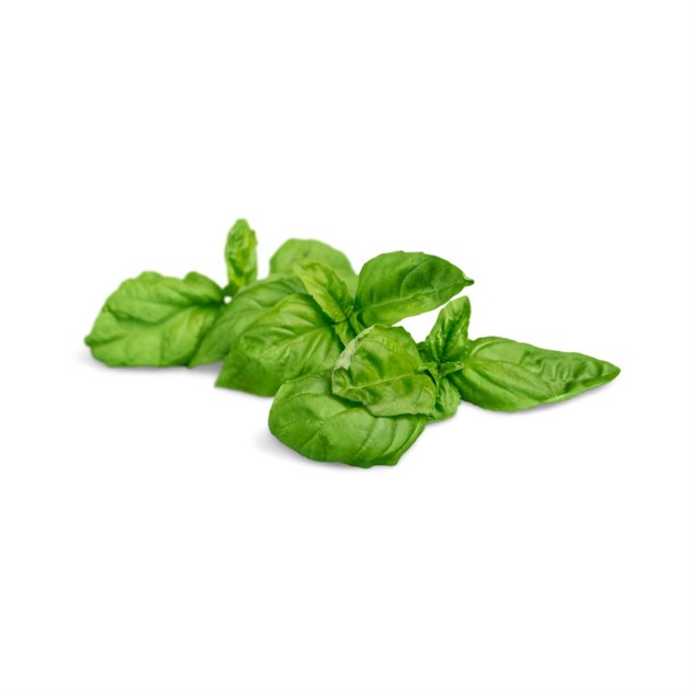 Basilika ask 50g