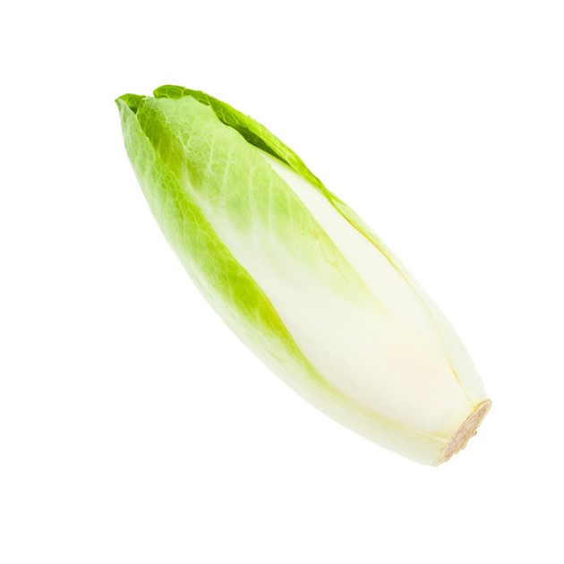 Sallad Endive Gul Kg