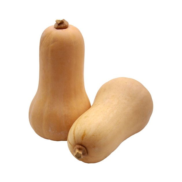 Pumpa Butternut kg