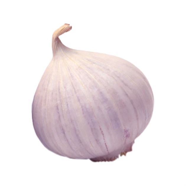 Vitlök Solo 3kg