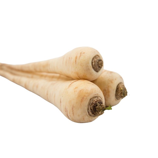 Palsternacka kg