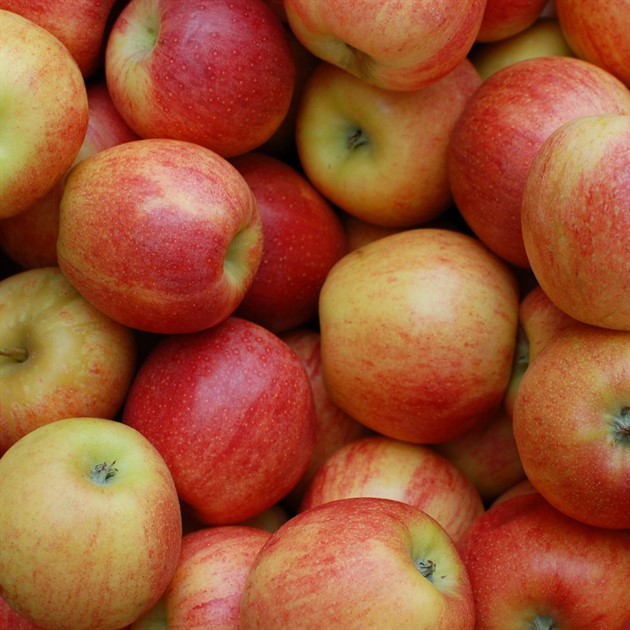 Äpple röda svenska kg