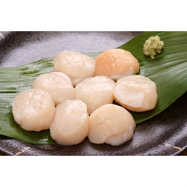 Kammusslor frysta 10/20 kg