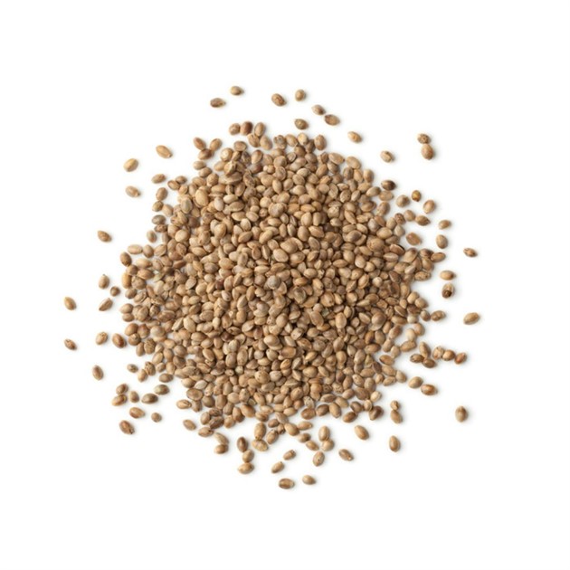 Hampafrön 20 kg