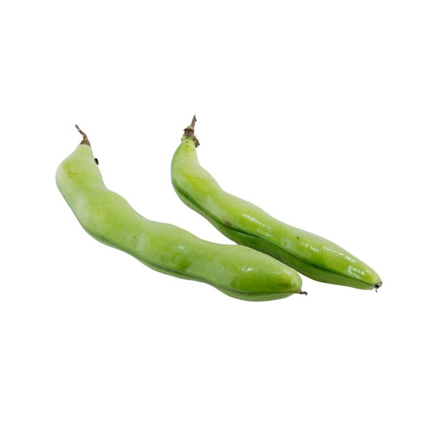 Bondbönor kg